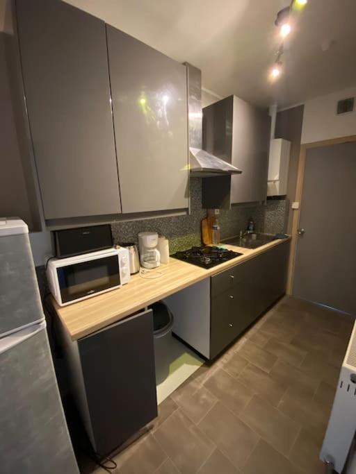 Двухкомнатная Квартира В Самом Центре Г. Антверпен Appartement Antwerpen